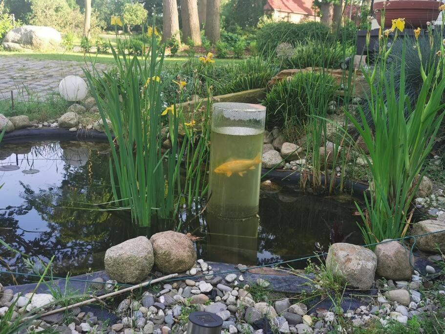 Appartamento Xanadi Heilehaus Kleine Auszeit Kururlaub Bruchhausen-Vilsen Esterno foto