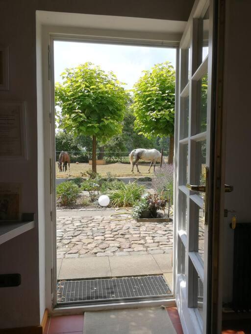 Appartamento Xanadi Heilehaus Kleine Auszeit Kururlaub Bruchhausen-Vilsen Esterno foto